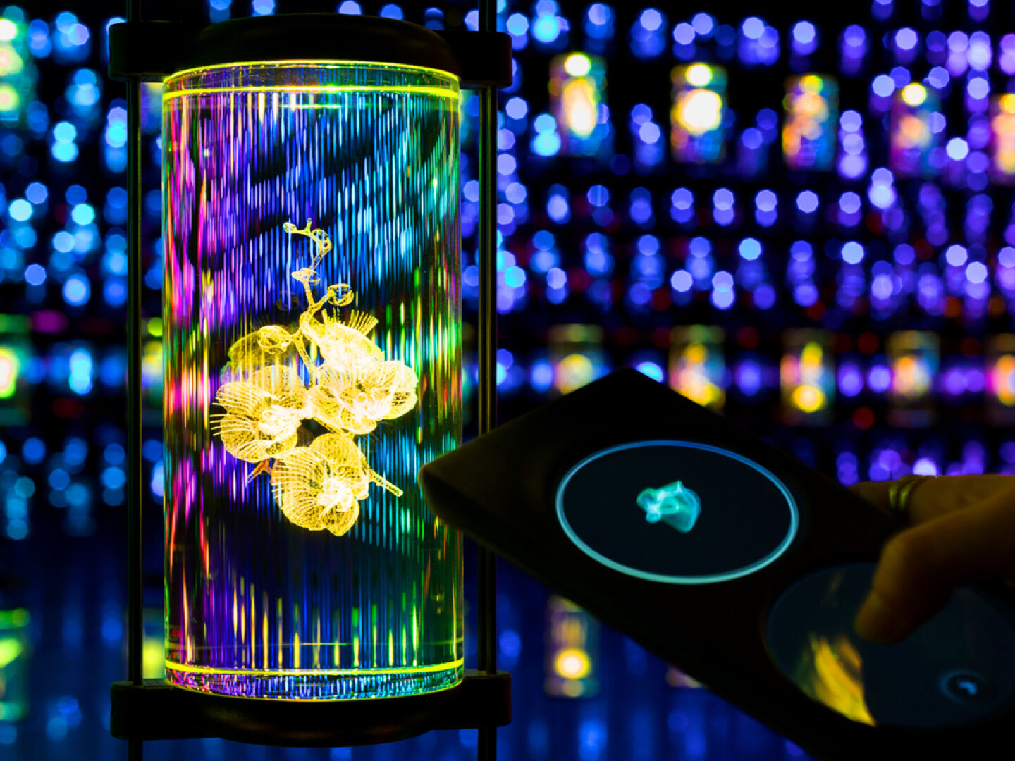 Nonoia_Studio_Portfolio_The_Heal_Institute_The_Museum_of_the_Future_Dubai_UX_UI_Design_Handheld_Device_002 Nonoia_Studio_Portfolio_The_Heal_Institute_The_Museum_of_the_Future_Dubai_UX_UI_Design_Handheld_Device_002