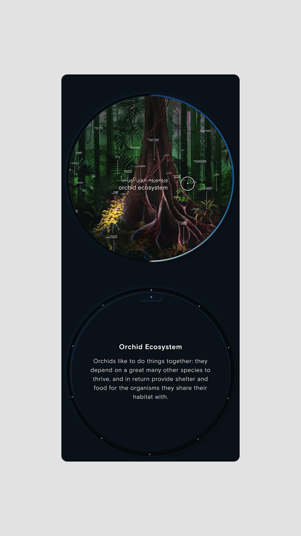 Nonoia_Studio_Portfolio_The_Heal_Institute_The_Museum_of_the_Future_Dubai_UX_UI_Design_Handheld_Device_009 Nonoia_Studio_Portfolio_The_Heal_Institute_The_Museum_of_the_Future_Dubai_UX_UI_Design_Handheld_Device_009
