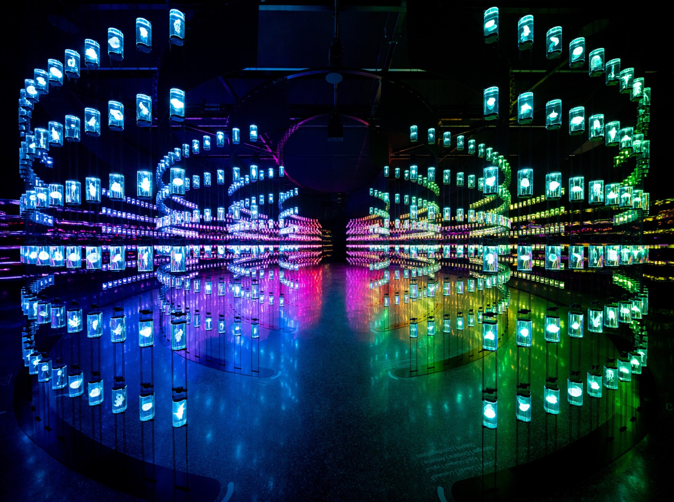 Superflux_MOTF-The-Library-1_Image-Credit-©-Sandra-Ciampone-2022-All-Rights-Reserved 2 Superflux_MOTF-The-Library-1_Image-Credit-©-Sandra-Ciampone-2022-All-Rights-Reserved 2